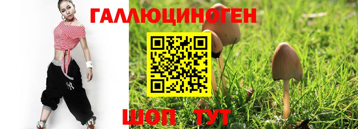 Псилоцибиновые грибы мухоморы  Галлюциногенные грибы Psilocybe  Отрадный  Вход с VPN 